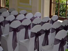 Plum Chair Sashes